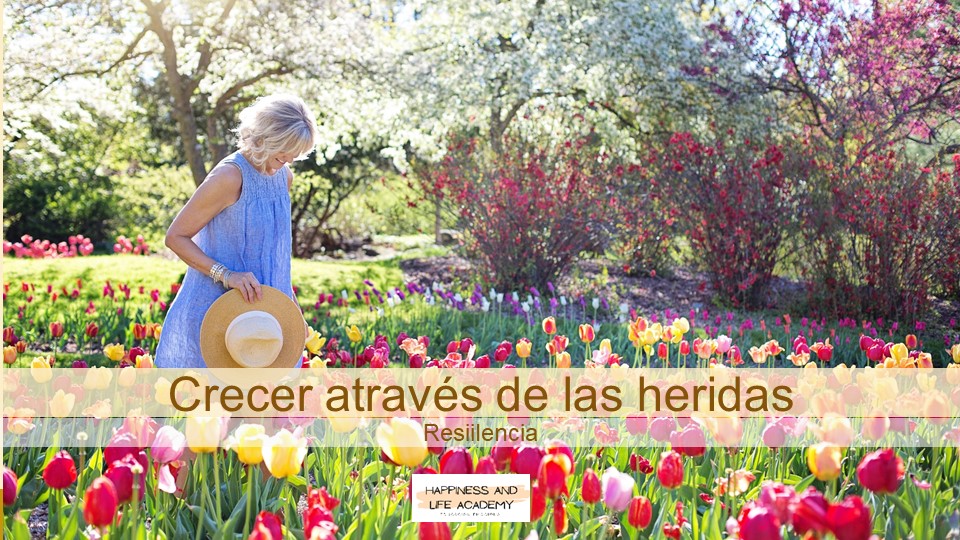 Portada del programa 